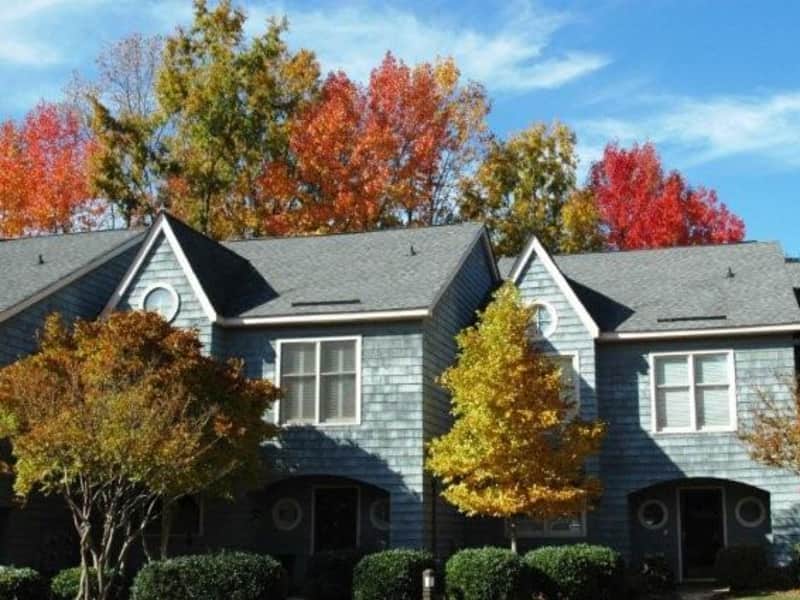 Housesitting assignment in Davidson, North Carolina, United States
