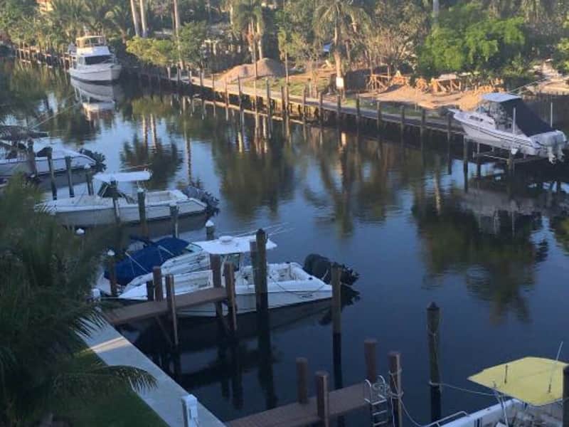 Housesitting assignment in Fort Lauderdale, Florida, United States