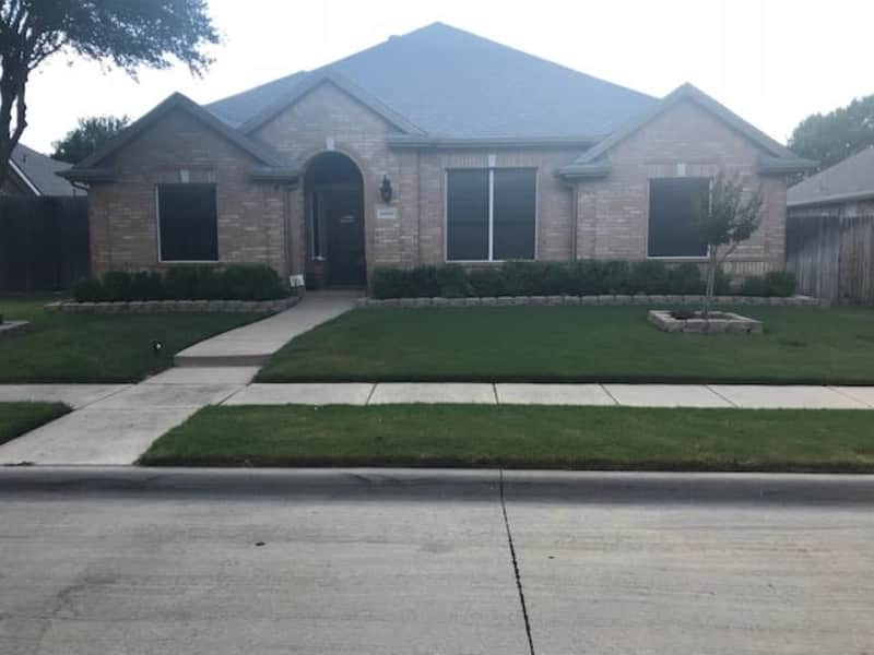 Housesitting assignment in The Colony, Texas, United States