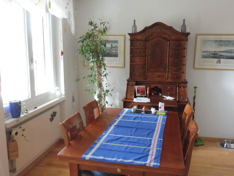 Housesitting assignment in Schwerzenbach, Switzerland