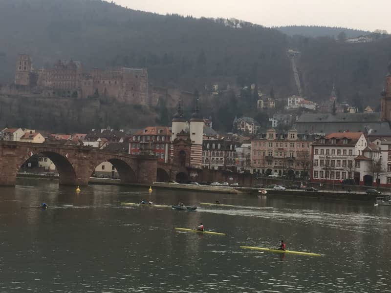 Housesitting assignment in Heidelberg, Germany