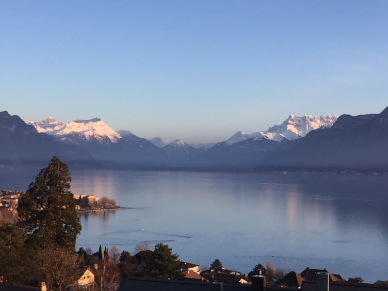 Housesitting assignment in Vevey, Switzerland