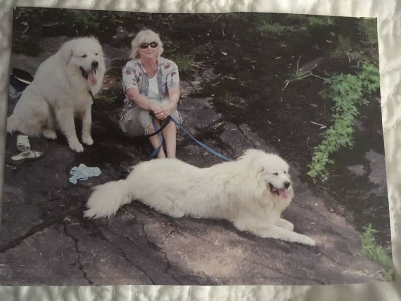 Kacy from Naples, Florida, United States