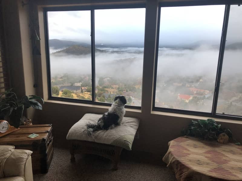 Housesitting assignment in Prescott, Arizona, United States