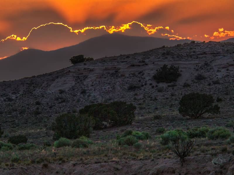 Housesitting assignment in Nambe, New Mexico, United States