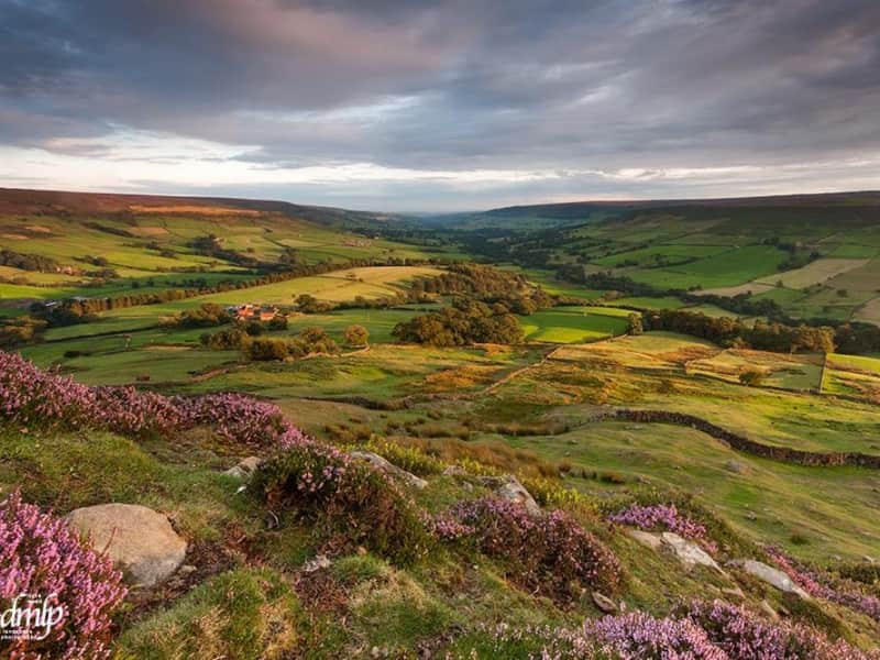 Housesitting assignment in Kirkbymoorside, United Kingdom