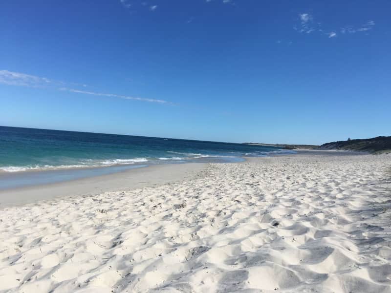 Housesitting assignment in Perth, Western Australia, Australia