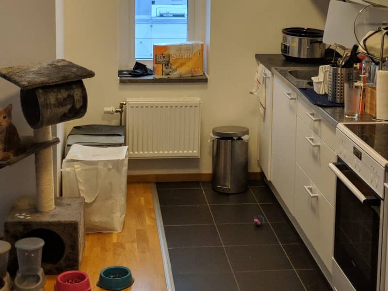 Housesitting assignment in Malmö, Sweden