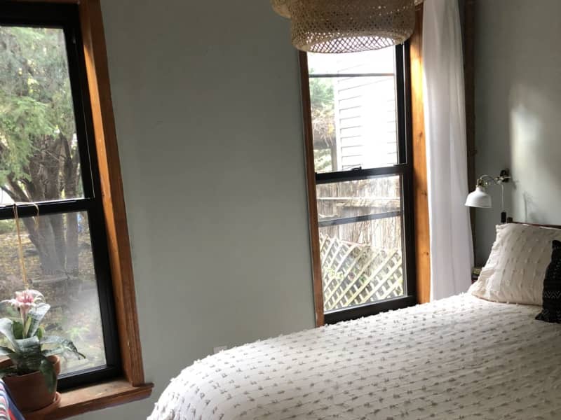 Housesitting assignment in Brooklyn, New York, United States