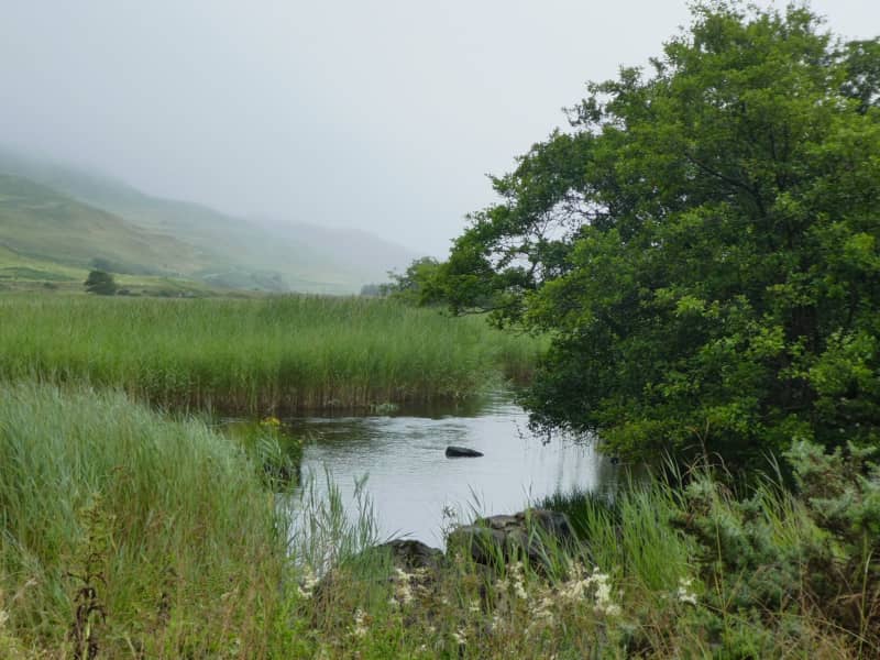 Housesitting assignment in Isle Of Mull, United Kingdom