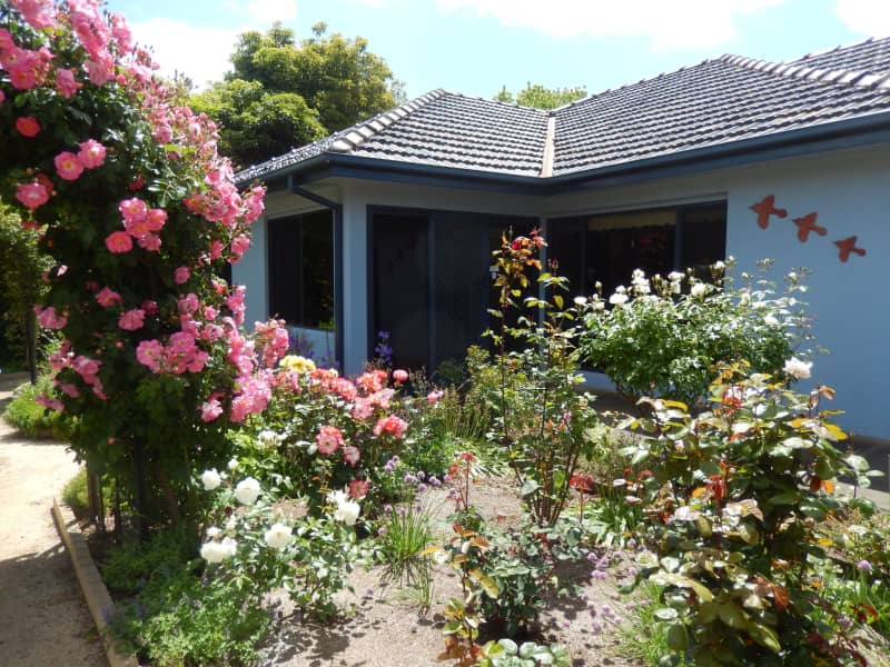 Housesitting assignment in Mirboo North, Victoria, Australia