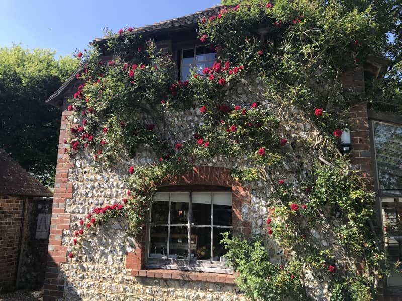Housesitting assignment in Ditchling, United Kingdom