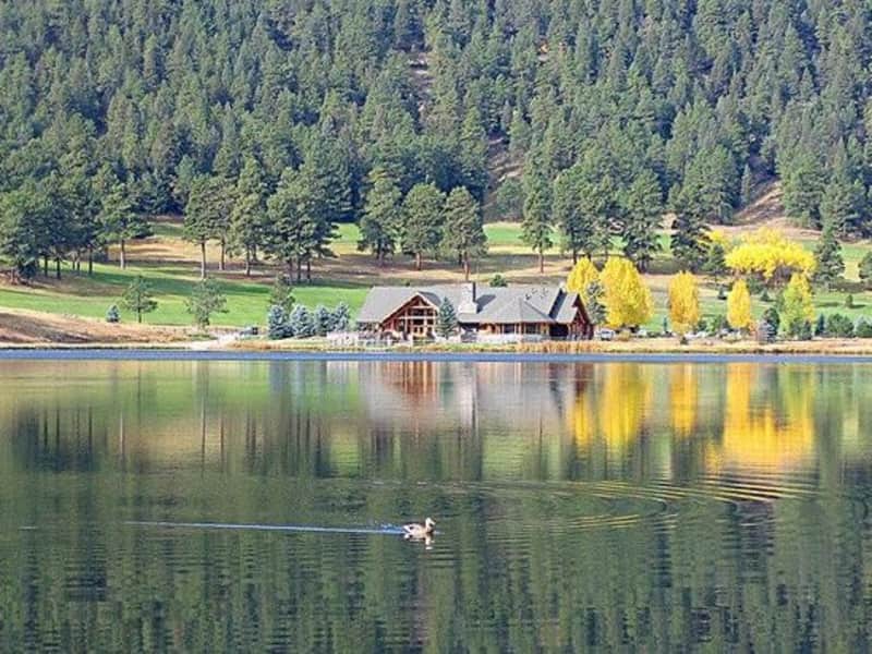 Housesitting assignment in Evergreen, Colorado, United States