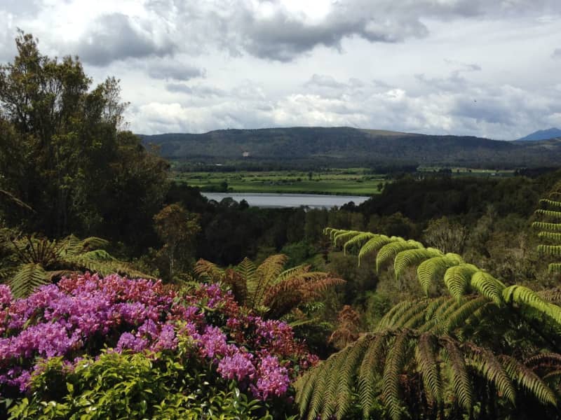 Housesitting assignment in Hokitika, New Zealand