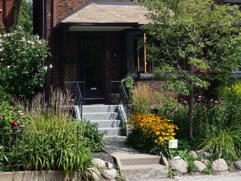 Housesitting assignment in Toronto, Ontario, Canada