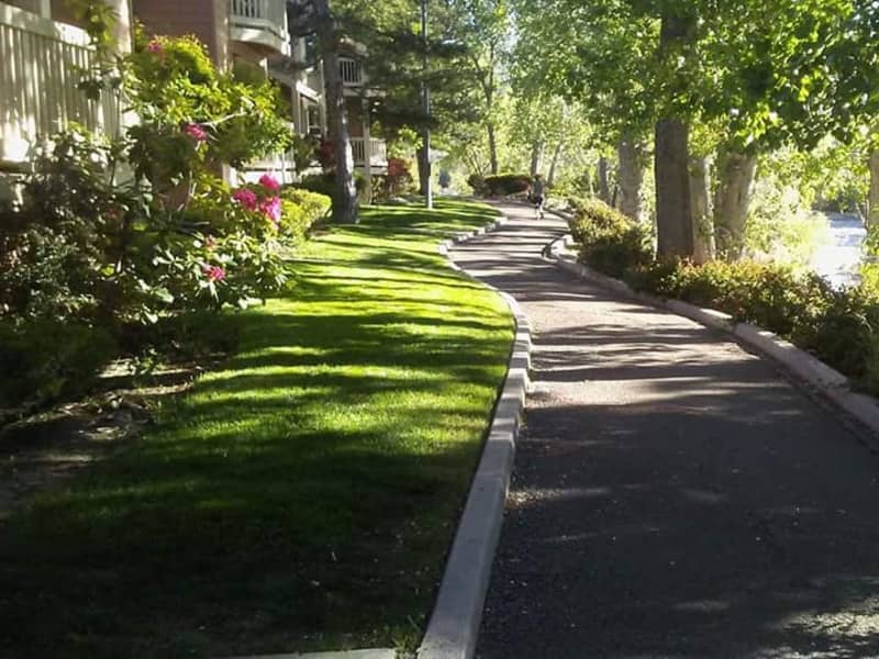 Housesitting assignment in Reno, Nevada, United States