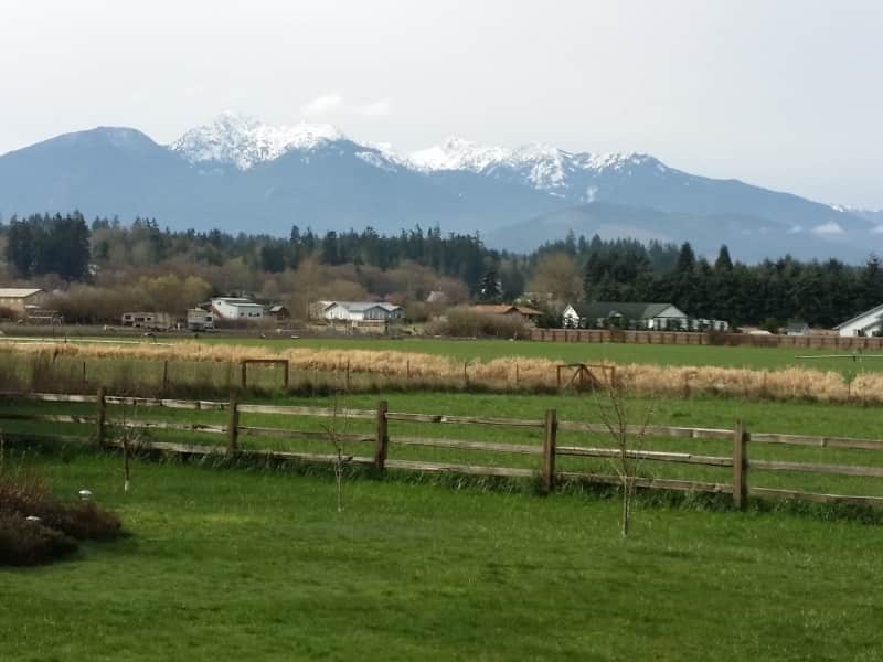 Housesitting assignment in Port Angeles, Washington, United States