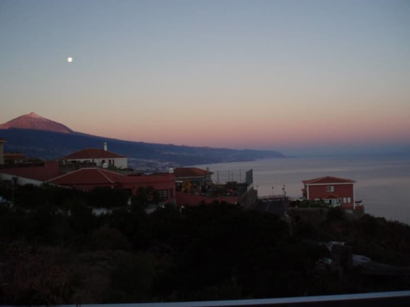 Housesitting assignment in Sauzal, Spain