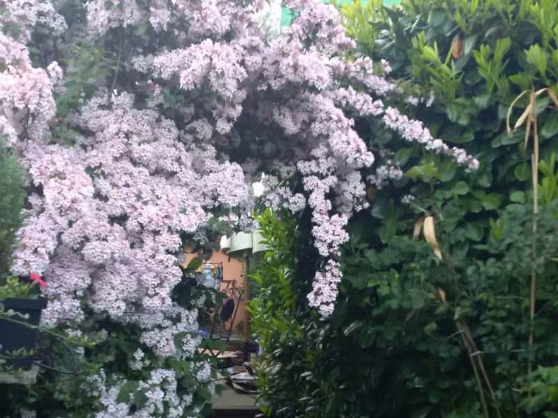 Housesitting assignment in Harold Wood, United Kingdom