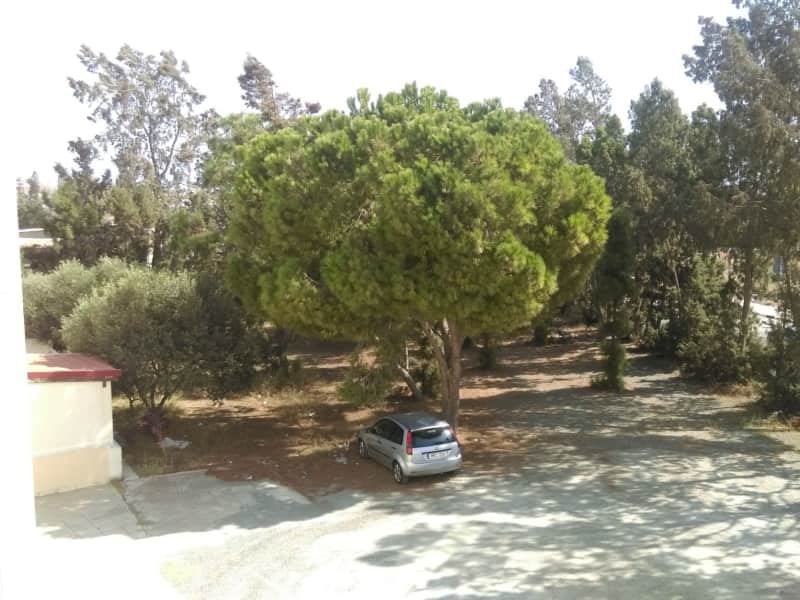 Housesitting assignment in Larnaca, Cyprus