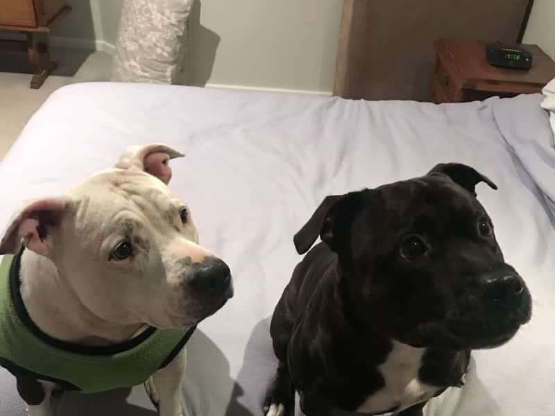 Meghan & Peter from Perth, Western Australia, Australia