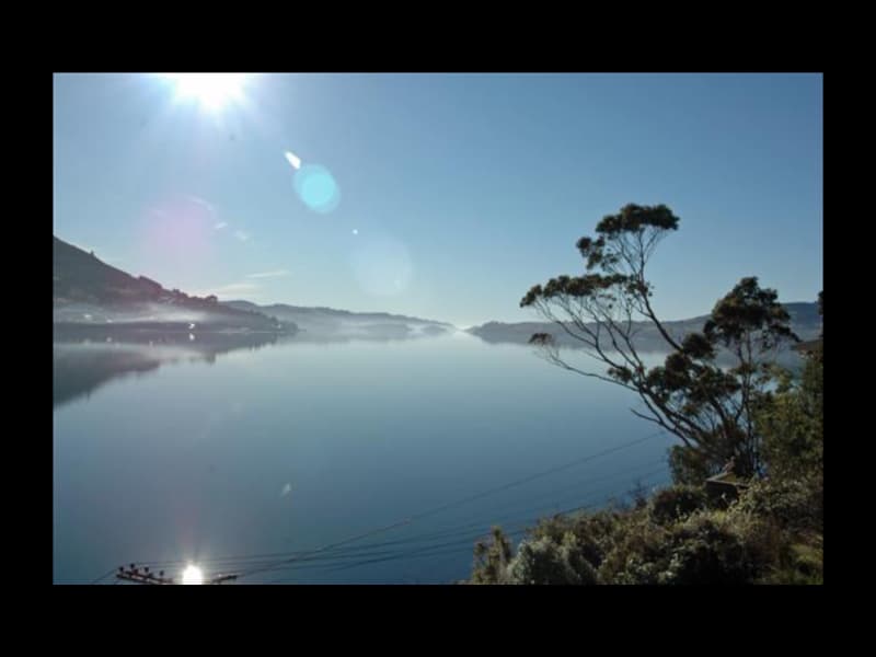 Housesitting assignment in Dunedin, New Zealand