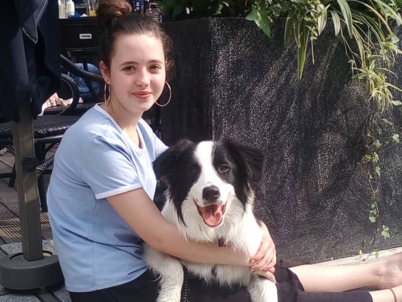 Housesitting assignment in Chengdu, China