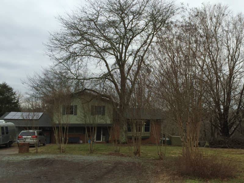 Housesitting assignment in Charlottesville, Virginia, United States