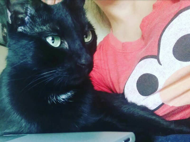 Archil & Luba from Tbilisi, Georgia