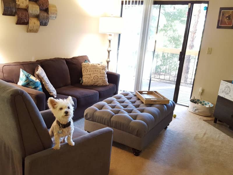 Housesitting assignment in North Richmond, California, United States