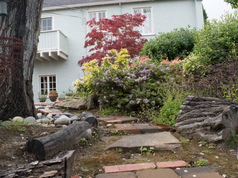 Housesitting assignment in Millbrae, California, United States