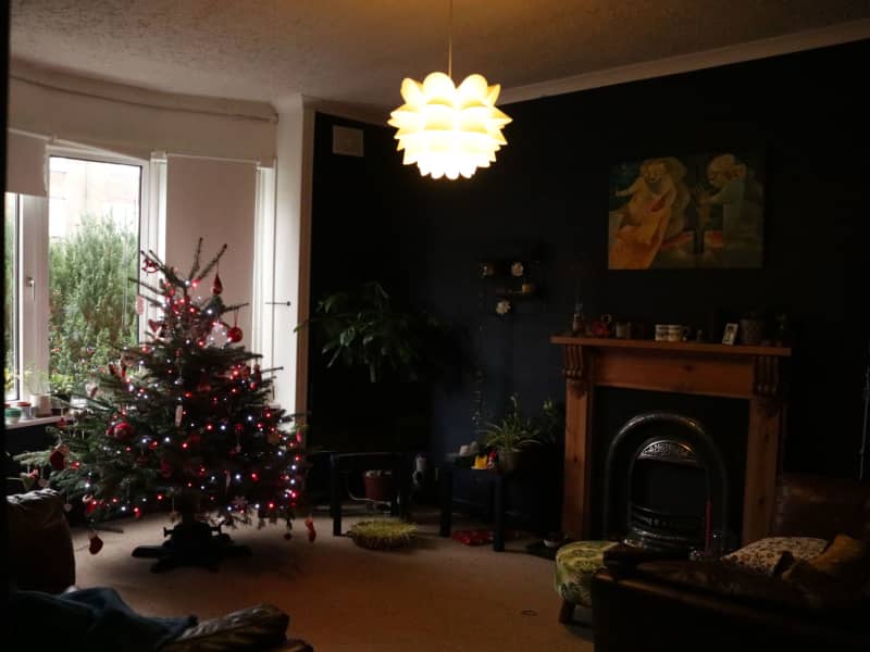 Housesitting assignment in Glasgow, United Kingdom