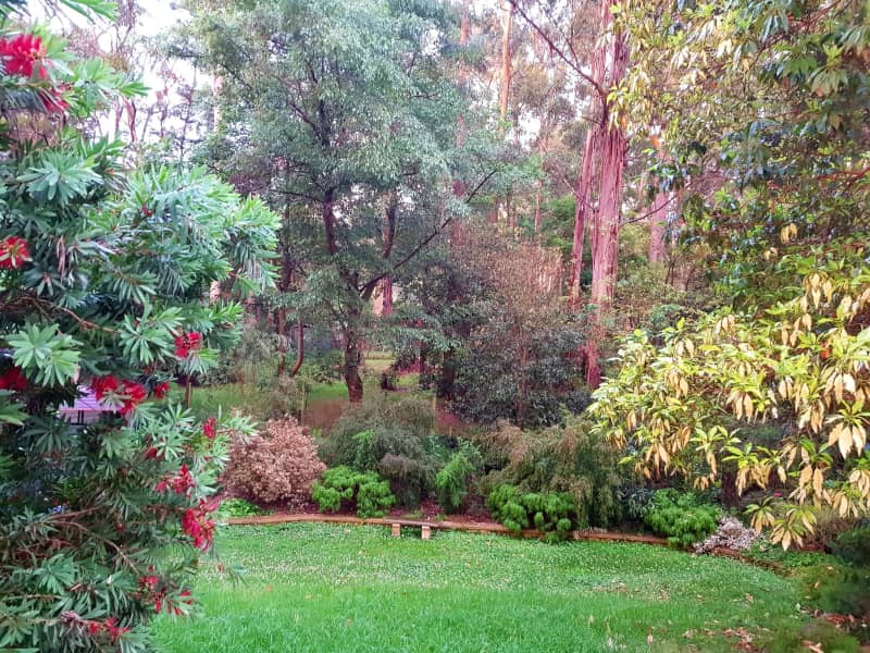 Housesitting assignment in Tecoma, Victoria, Australia