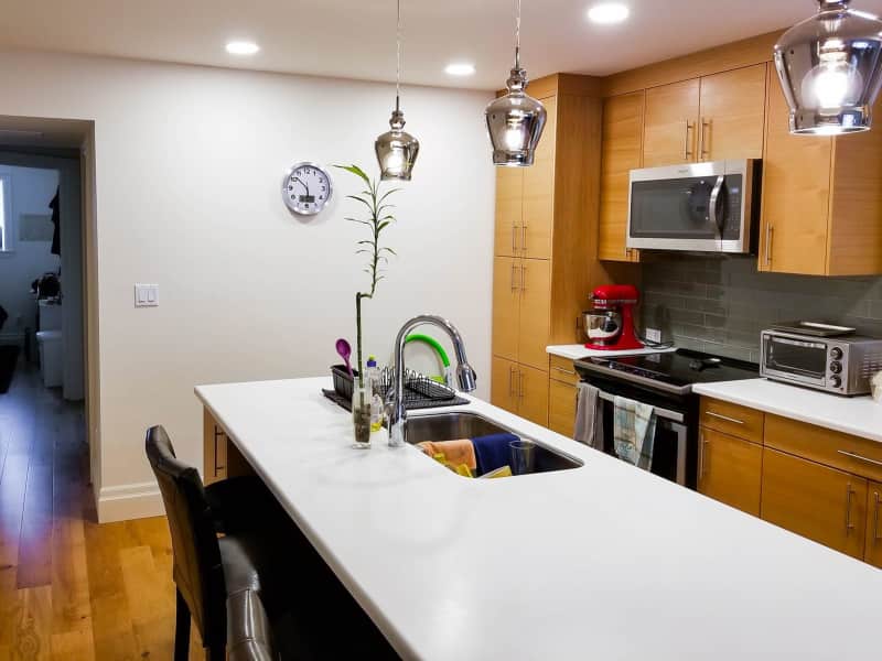 Housesitting assignment in Edmonton, Alberta, Canada