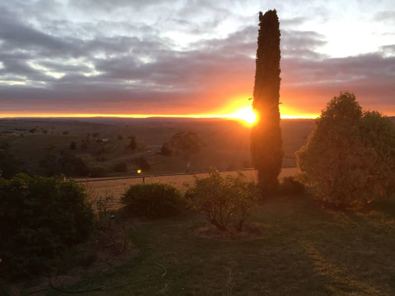 Housesitting assignment in Newbridge, New South Wales, Australia