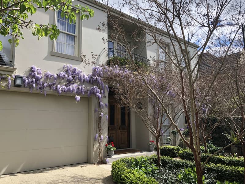 Housesitting assignment in Brighton, Victoria, Australia