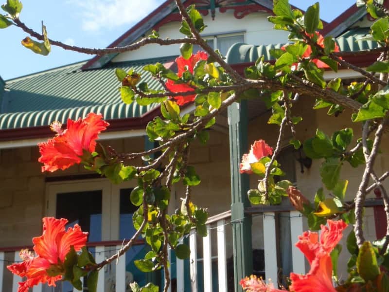 Housesitting assignment in Mandurah, Western Australia, Australia