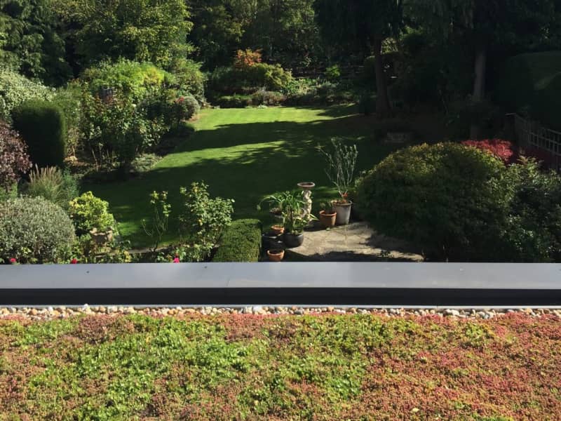 Housesitting assignment in Dulwich, United Kingdom