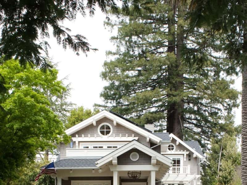 Housesitting assignment in Mill Valley, California, United States