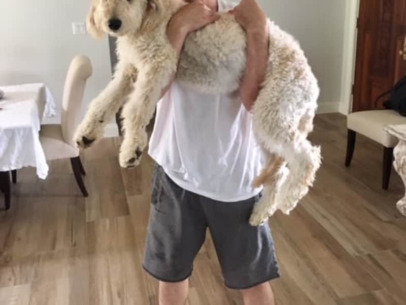 Zackary from Seattle, Washington, United States