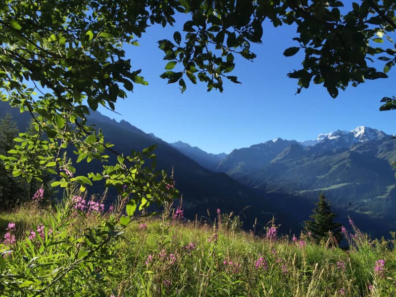 Housesitting assignment in Verbier, Switzerland