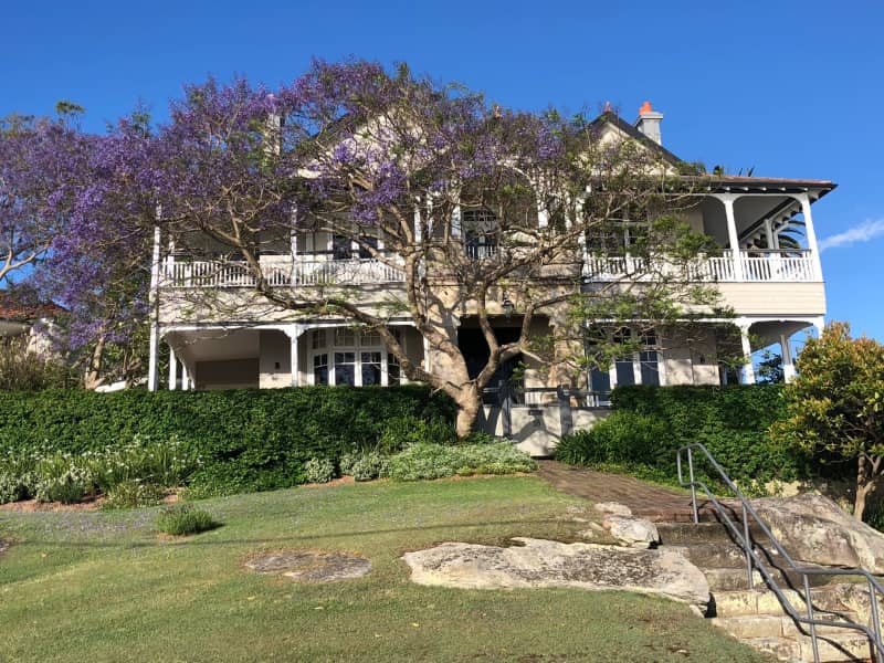 Housesitting assignment in Greenwich, New South Wales, Australia