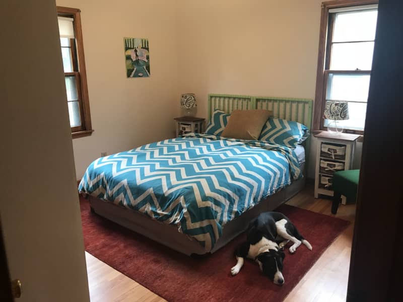 Housesitting assignment in Saint Paul, Minnesota, United States