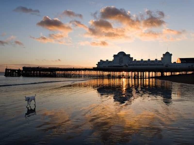 Housesitting assignment in Southsea, United Kingdom