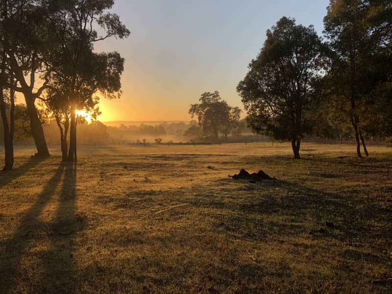 Housesitting assignment in Gidgegannup, Western Australia, Australia