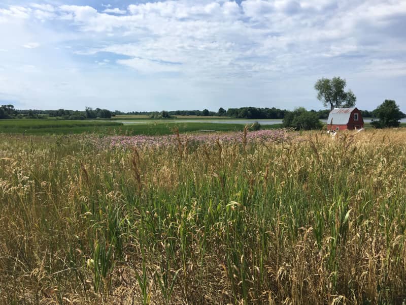 Housesitting assignment in Wellington, Ontario, Canada