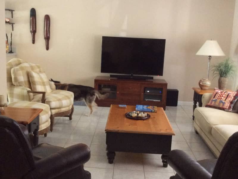Housesitting assignment in Fort Lauderdale, Florida, United States