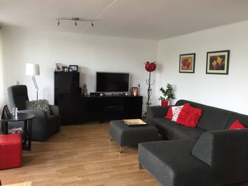 Housesitting assignment in Amsterdam-Zuidoost, Netherlands