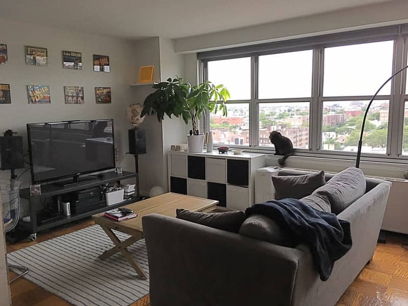 Housesitting assignment in Brooklyn, New York, United States