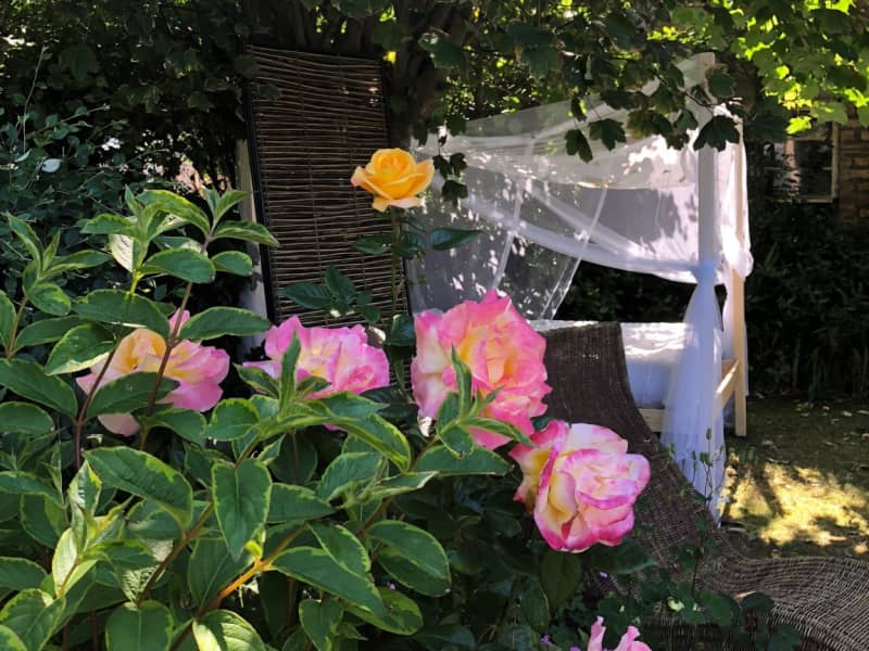 Housesitting assignment in Troon, United Kingdom